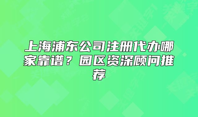上海浦東公司注冊(cè)代辦哪家靠譜？園區(qū)資深顧問推薦
