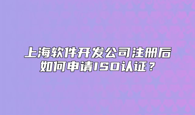 上海軟件開(kāi)發(fā)公司注冊(cè)后如何申請(qǐng)ISO認(rèn)證？