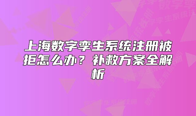 上海數(shù)字孿生系統(tǒng)注冊(cè)被拒怎么辦？補(bǔ)救方案全解析