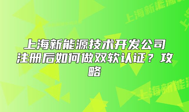 上海新能源技術(shù)開發(fā)公司注冊(cè)后如何做雙軟認(rèn)證？攻略