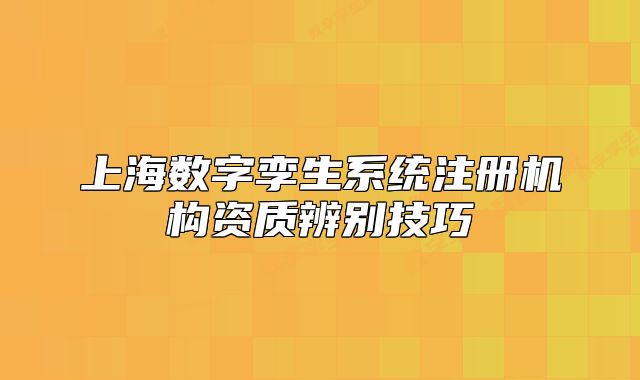 上海數(shù)字孿生系統(tǒng)注冊機(jī)構(gòu)資質(zhì)辨別技巧