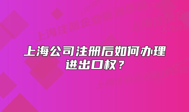 上海公司注冊(cè)后如何辦理進(jìn)出口權(quán)？