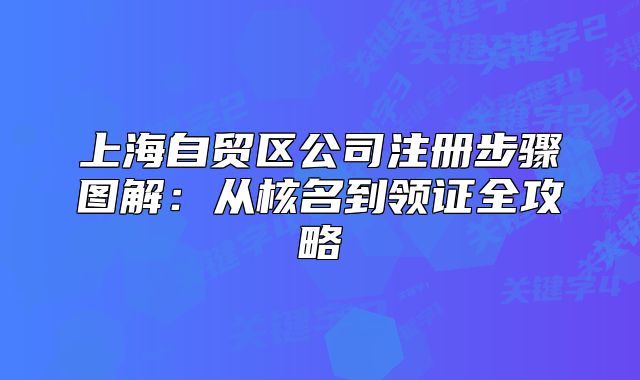 上海自貿(mào)區(qū)公司注冊步驟圖解：從核名到領(lǐng)證全攻略