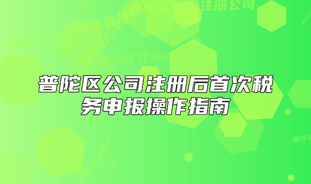 普陀區(qū)公司注冊(cè)后首次稅務(wù)申報(bào)操作指南