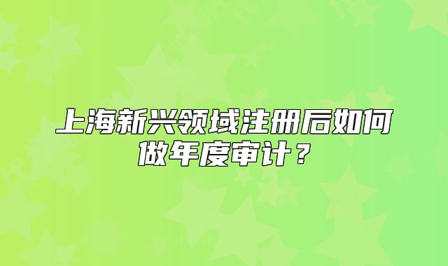 上海新興領(lǐng)域注冊(cè)后如何做年度審計(jì)？