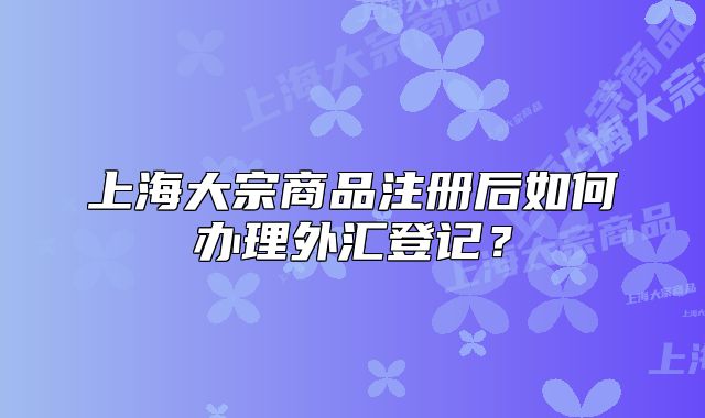 上海大宗商品注冊后如何辦理外匯登記？