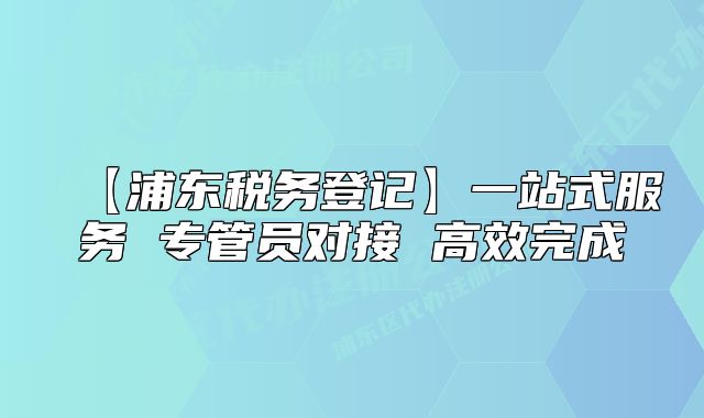 【浦東稅務(wù)登記】一站式服務(wù) 專管員對(duì)接 高效完成