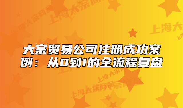 大宗貿(mào)易公司注冊(cè)成功案例：從0到1的全流程復(fù)盤