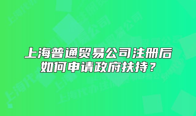 上海普通貿(mào)易公司注冊后如何申請政府扶持？