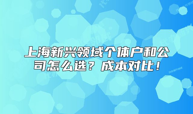 上海新興領(lǐng)域個(gè)體戶(hù)和公司怎么選？成本對(duì)比！