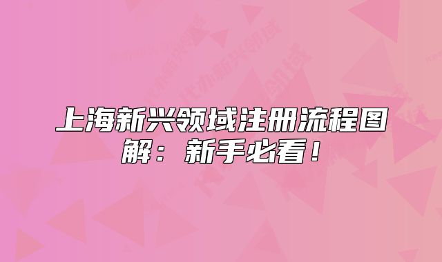上海新興領(lǐng)域注冊(cè)流程圖解：新手必看！