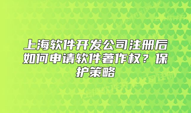 上海軟件開(kāi)發(fā)公司注冊(cè)后如何申請(qǐng)軟件著作權(quán)？保護(hù)策略