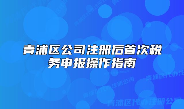 青浦區(qū)公司注冊后首次稅務申報操作指南