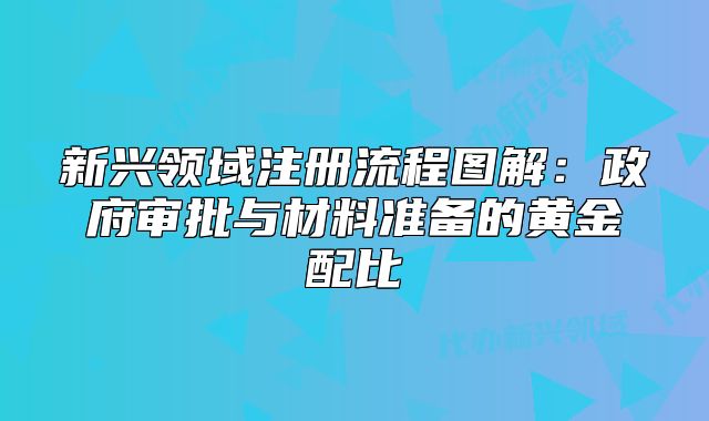新興領(lǐng)域注冊(cè)流程圖解：政府審批與材料準(zhǔn)備的黃金配比
