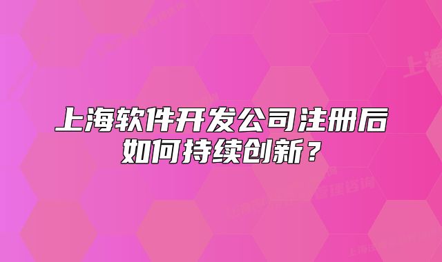 上海軟件開發(fā)公司注冊后如何持續(xù)創(chuàng)新？