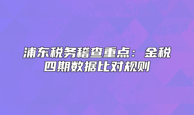 浦東稅務(wù)稽查重點：金稅四期數(shù)據(jù)比對規(guī)則