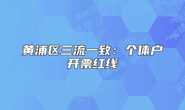 黃浦區(qū)三流一致：個(gè)體戶開票紅線