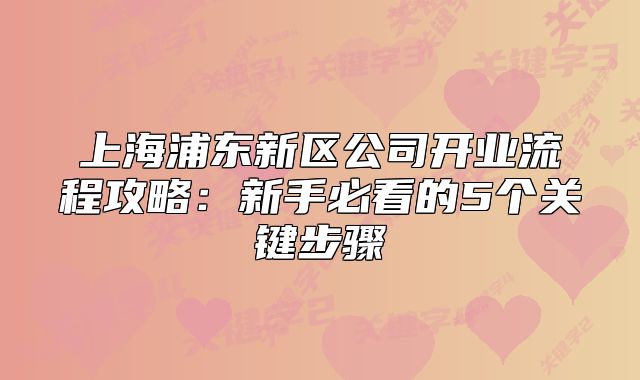 上海浦東新區(qū)公司開業(yè)流程攻略：新手必看的5個(gè)關(guān)鍵步驟