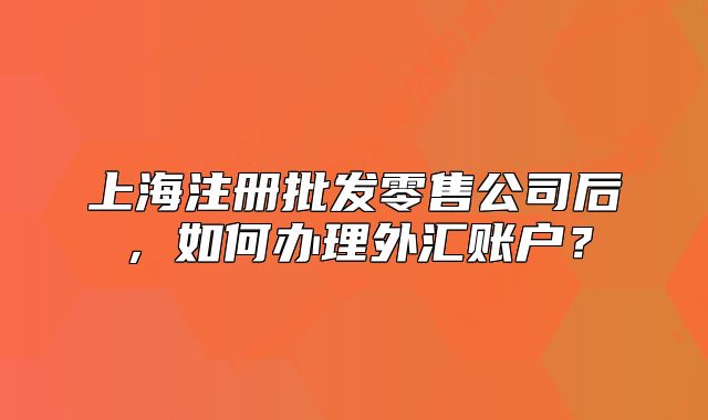 上海注冊批發(fā)零售公司后，如何辦理外匯賬戶？