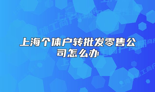 上海個體戶轉(zhuǎn)批發(fā)零售公司怎么辦