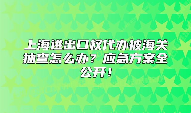 上海進(jìn)出口權(quán)代辦被海關(guān)抽查怎么辦？應(yīng)急方案全公開！