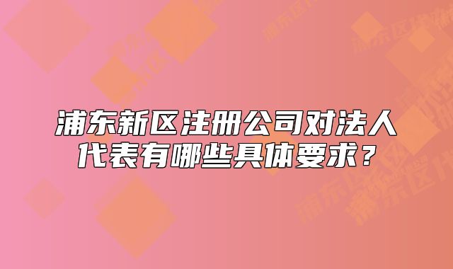 浦東新區(qū)注冊(cè)公司對(duì)法人代表有哪些具體要求？