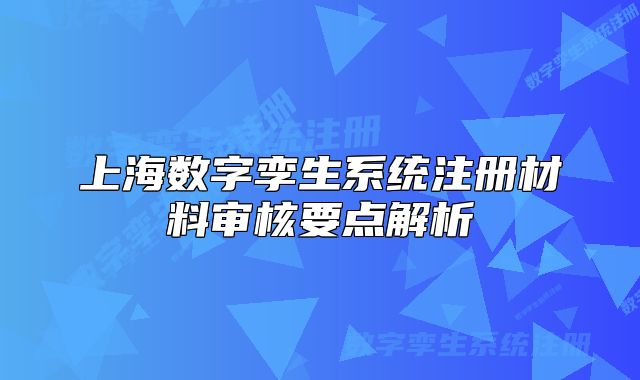 上海數(shù)字孿生系統(tǒng)注冊材料審核要點(diǎn)解析