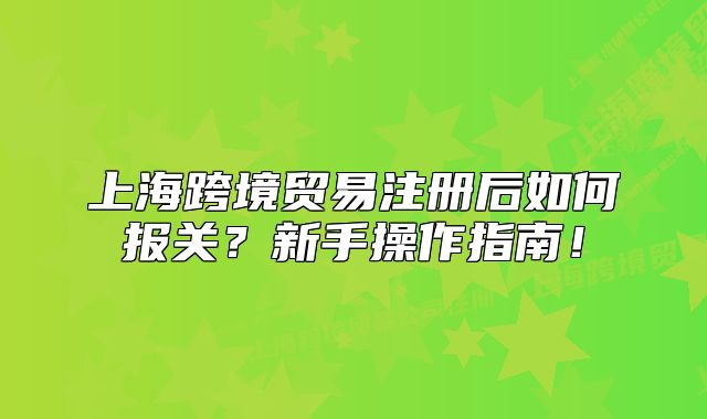 上?？缇迟Q(mào)易注冊后如何報關(guān)？新手操作指南！