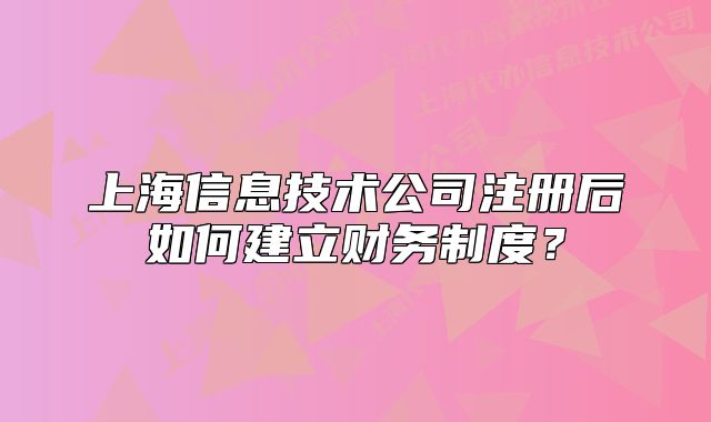 上海信息技術(shù)公司注冊后如何建立財務(wù)制度？