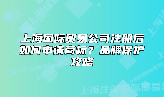 上海國際貿(mào)易公司注冊后如何申請商標？品牌保護攻略