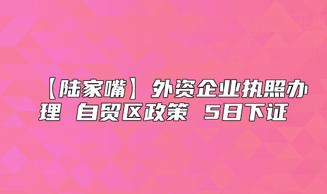 【陸家嘴】外資企業(yè)執(zhí)照辦理 自貿(mào)區(qū)政策 5日下證