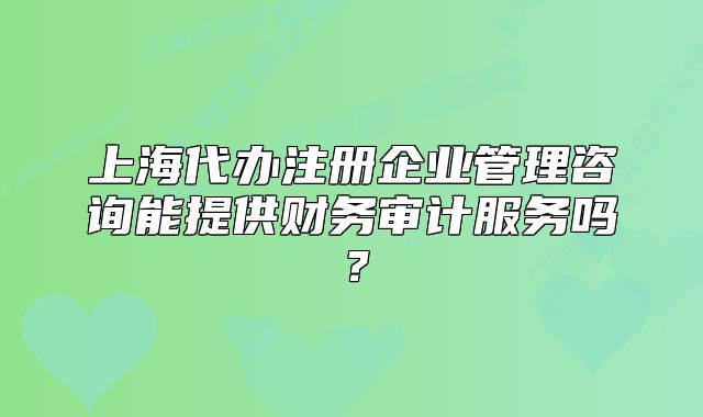 上海代辦注冊企業(yè)管理咨詢能提供財務審計服務嗎？