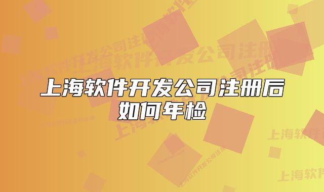 上海軟件開發(fā)公司注冊后如何年檢