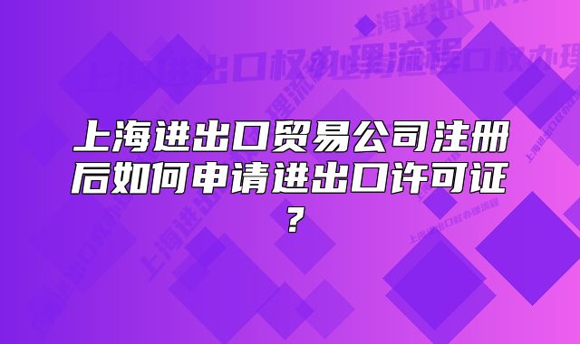 上海進(jìn)出口貿(mào)易公司注冊(cè)后如何申請(qǐng)進(jìn)出口許可證？