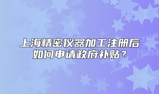 上海精密儀器加工注冊后如何申請政府補貼？