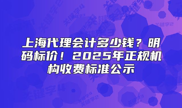 上海代理會(huì)計(jì)多少錢？明碼標(biāo)價(jià)！2025年正規(guī)機(jī)構(gòu)收費(fèi)標(biāo)準(zhǔn)公示