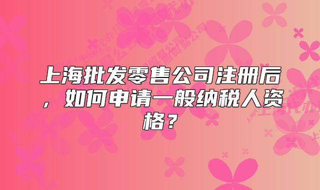 上海批發(fā)零售公司注冊后，如何申請一般納稅人資格？