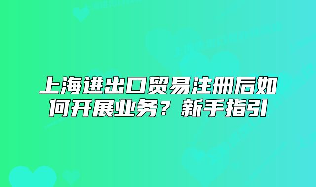 上海進出口貿易注冊后如何開展業(yè)務？新手指引