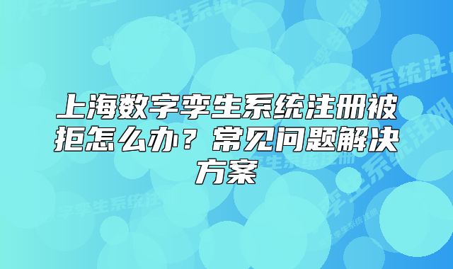 上海數(shù)字孿生系統(tǒng)注冊被拒怎么辦？常見問題解決方案