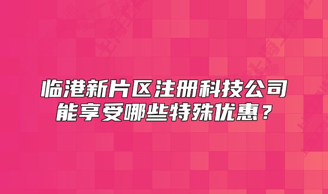 臨港新片區(qū)注冊科技公司能享受哪些特殊優(yōu)惠？