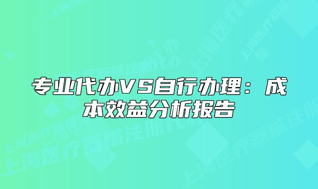 專業(yè)代辦VS自行辦理：成本效益分析報告