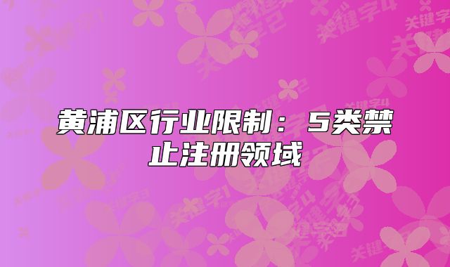 黃浦區(qū)行業(yè)限制：5類禁止注冊領(lǐng)域