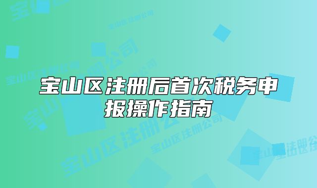 寶山區(qū)注冊(cè)后首次稅務(wù)申報(bào)操作指南