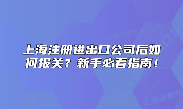 上海注冊(cè)進(jìn)出口公司后如何報(bào)關(guān)？新手必看指南！