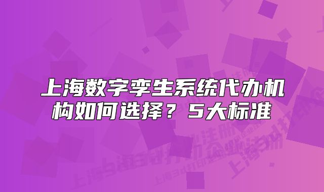 上海數(shù)字孿生系統(tǒng)代辦機構如何選擇？5大標準