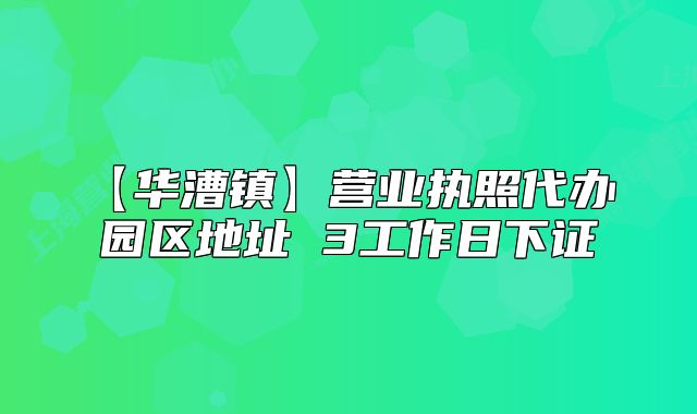 【華漕鎮(zhèn)】營業(yè)執(zhí)照代辦 園區(qū)地址 3工作日下證