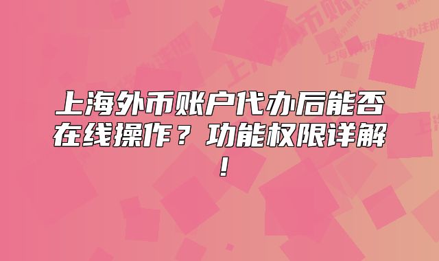 上海外幣賬戶代辦后能否在線操作？功能權(quán)限詳解！