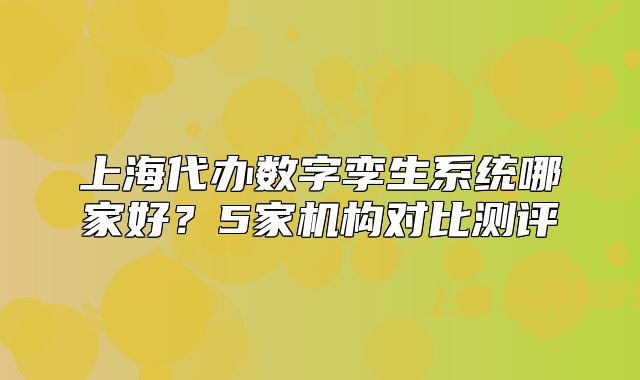 上海代辦數(shù)字孿生系統(tǒng)哪家好？5家機構(gòu)對比測評