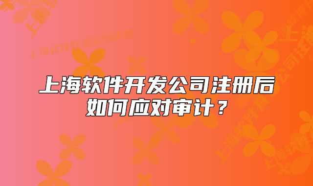 上海軟件開發(fā)公司注冊后如何應對審計？