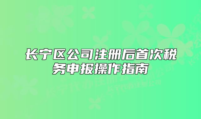 長寧區(qū)公司注冊(cè)后首次稅務(wù)申報(bào)操作指南